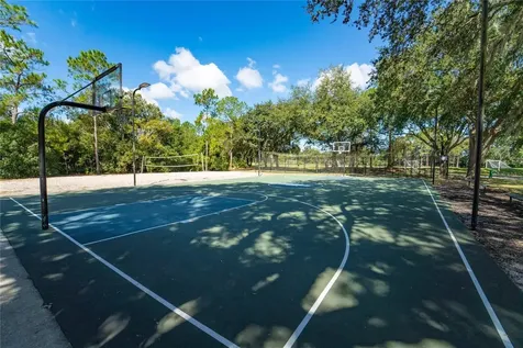 18103 Hamden Park Way Tampa FL 33647