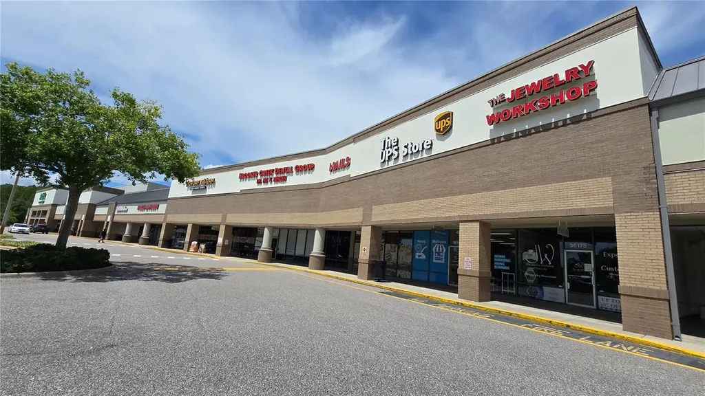 3297 Valemoor Drive Palm Harbor FL 34685
