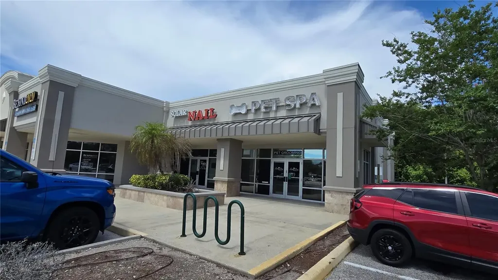 3297 Valemoor Drive Palm Harbor FL 34685