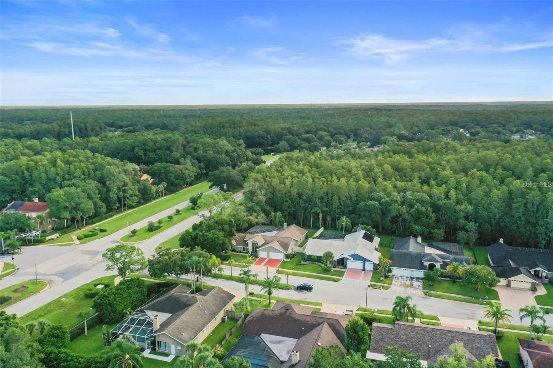 3297 Valemoor Drive Palm Harbor FL 34685