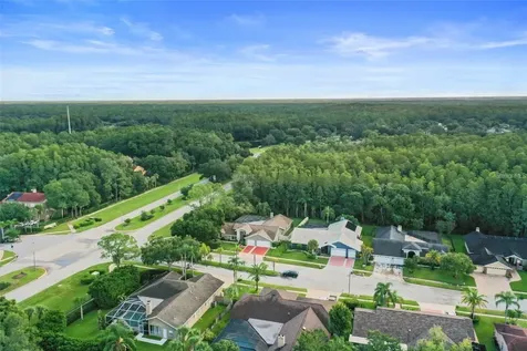 3297 Valemoor Drive Palm Harbor FL 34685
