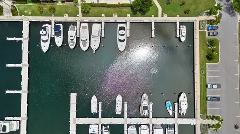 2600 Harbourside Drive Longboat Key FL 34228