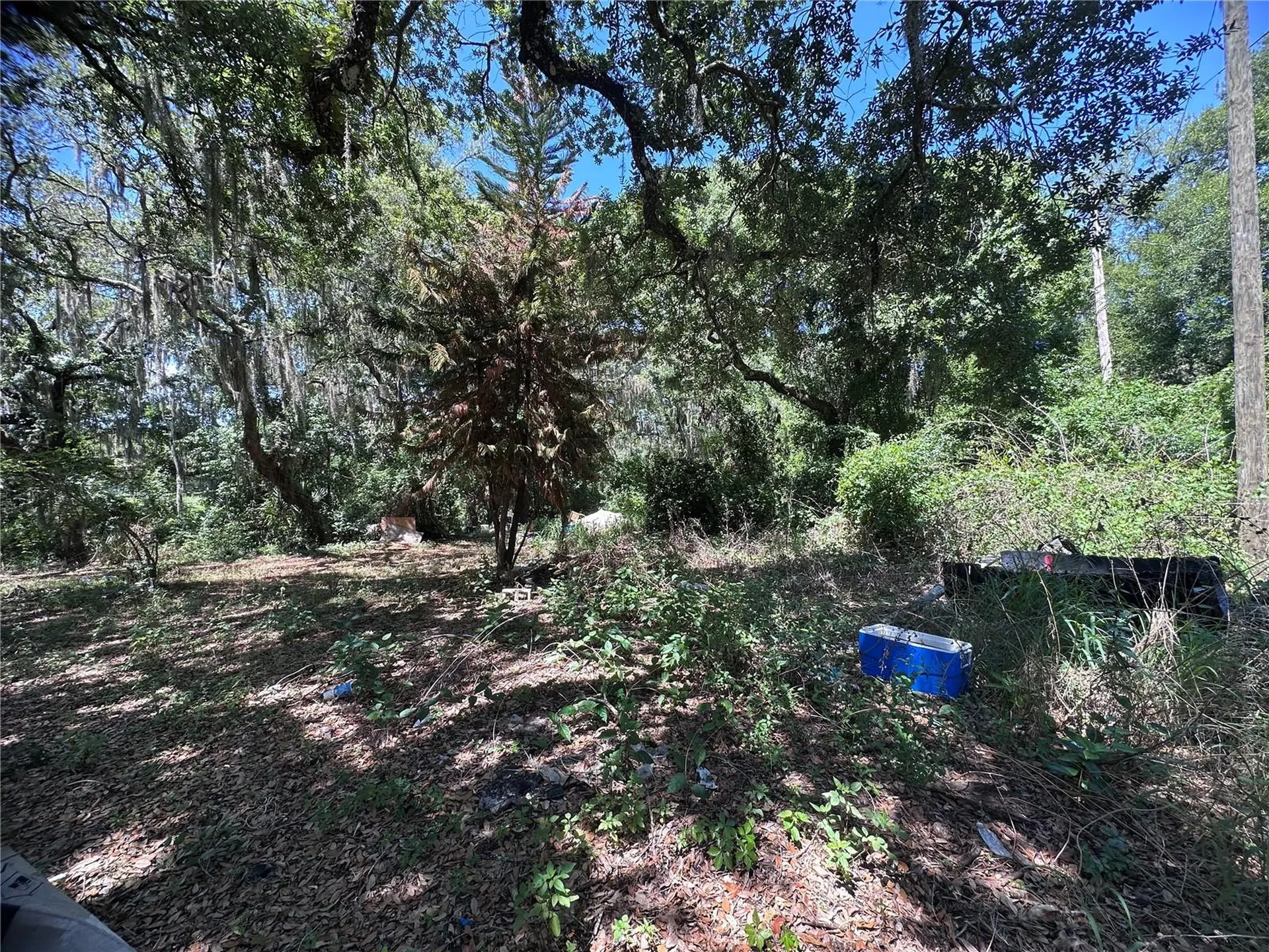 9315 E Treasure Island Avenue Leesburg FL 34788