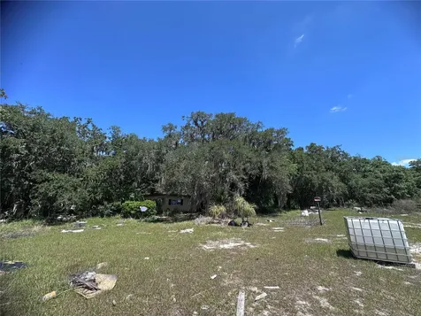 9315 E Treasure Island Avenue Leesburg FL 34788