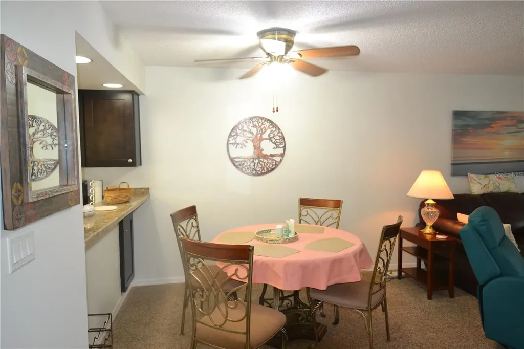 161 Lakeside Drive Oldsmar FL 34677