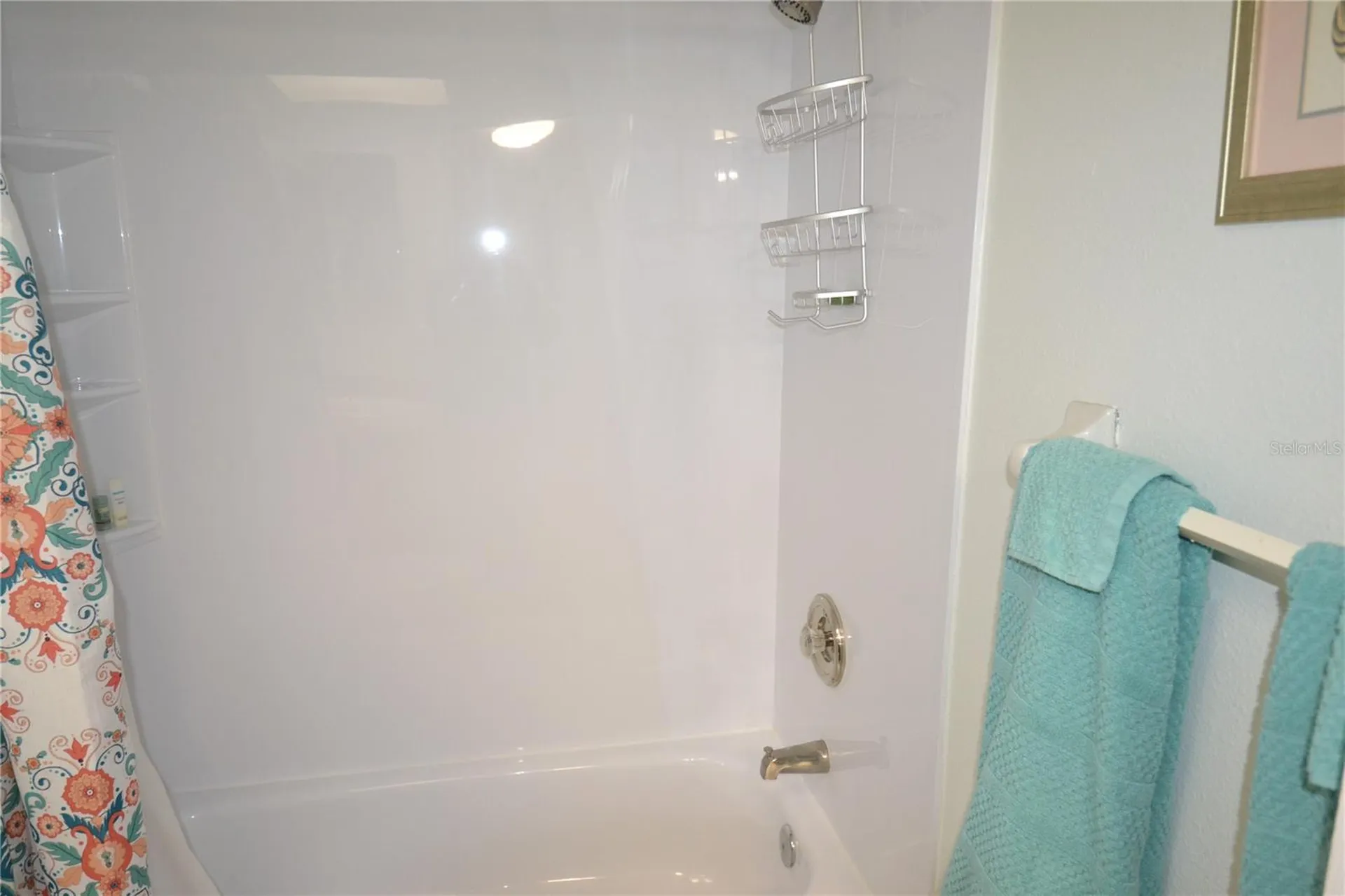 161 Lakeside Drive Oldsmar FL 34677