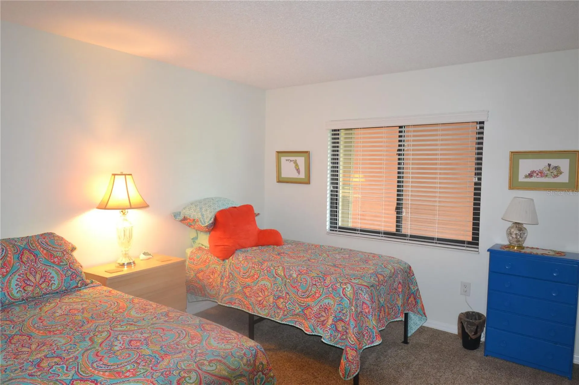 161 Lakeside Drive Oldsmar FL 34677