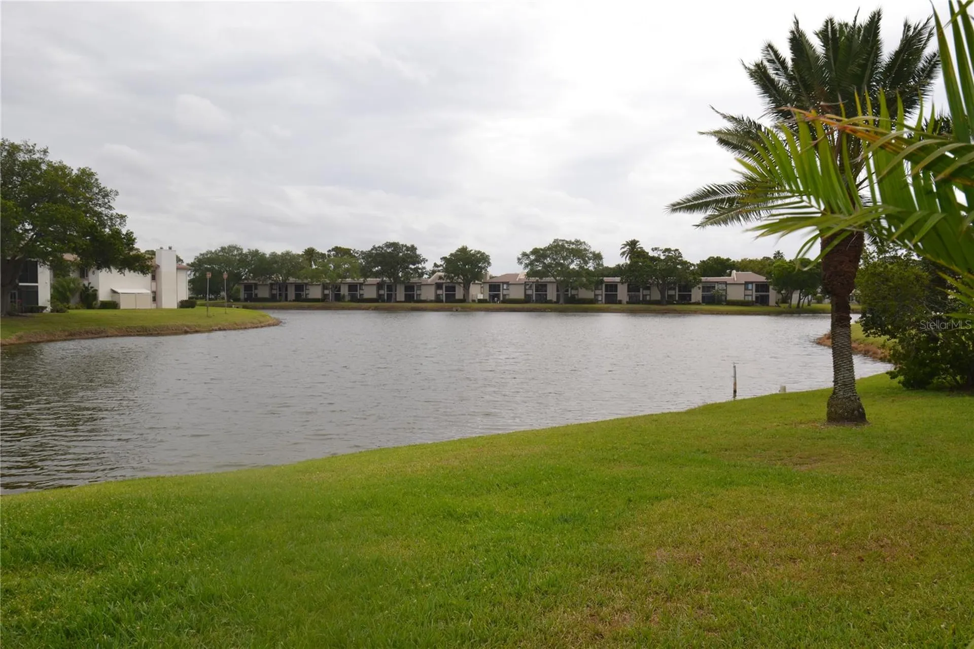 161 Lakeside Drive Oldsmar FL 34677