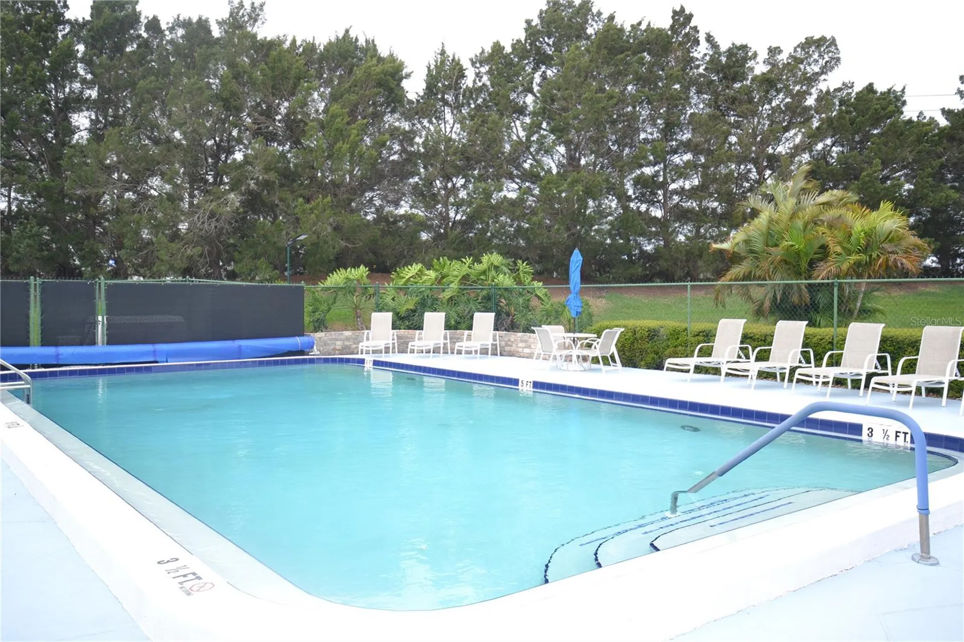161 Lakeside Drive Oldsmar FL 34677