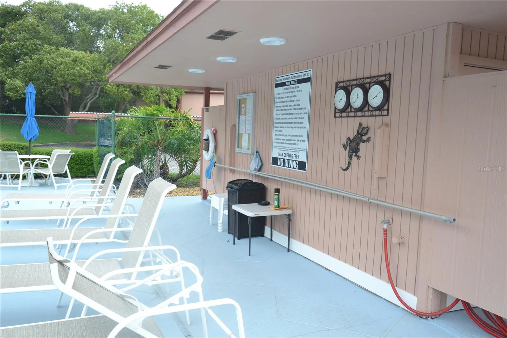 161 Lakeside Drive Oldsmar FL 34677
