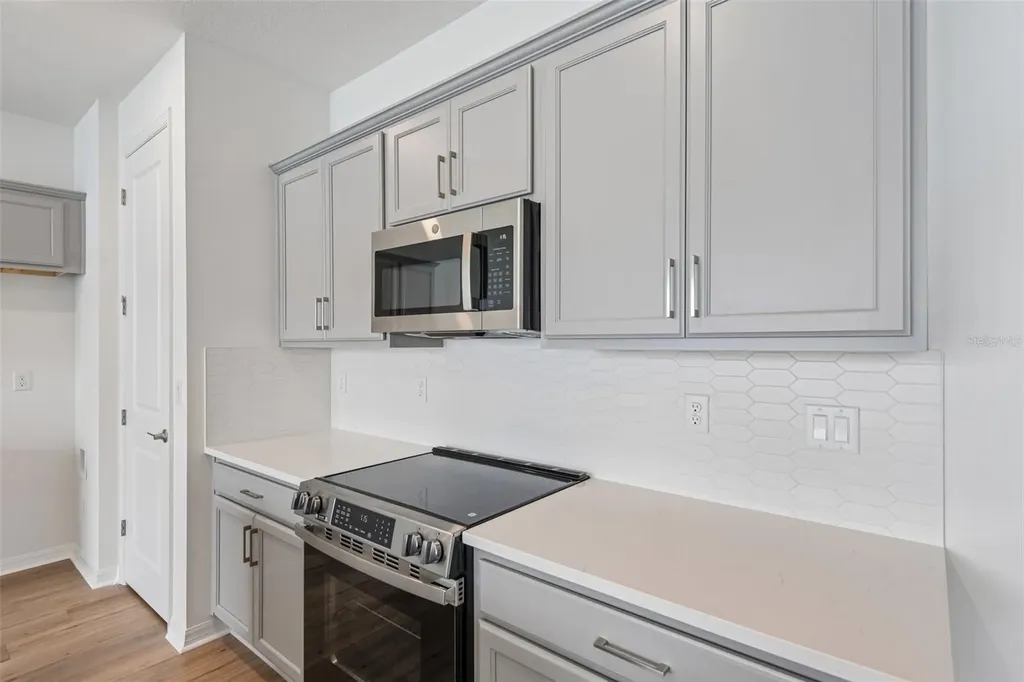 31542 Azure Beach Drive San Antonio FL 33576