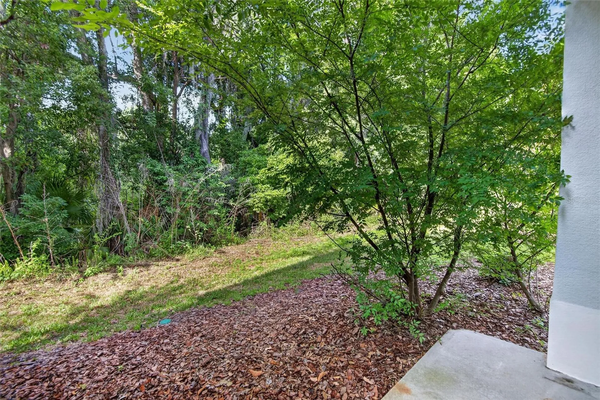714 Ashentree Drive Plant City FL 33563