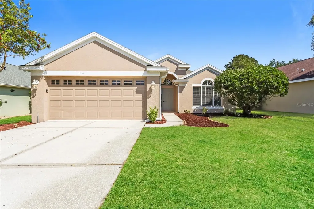 23211 Bayou Grove Street Land O Lakes FL 34639