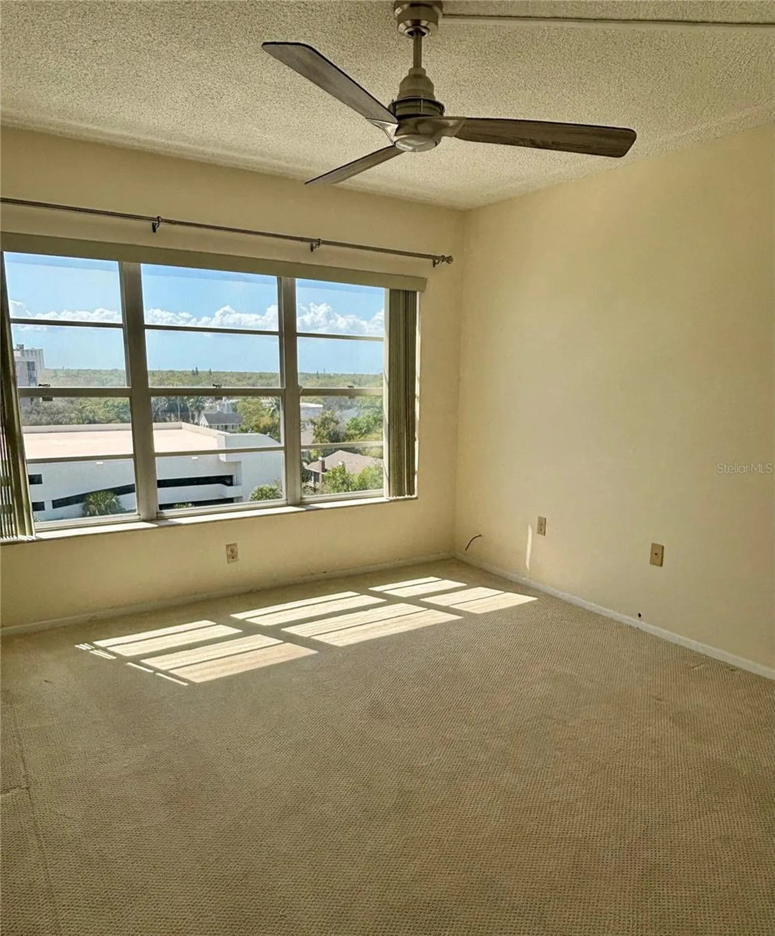 2401 Bayshore Boulevard Tampa FL 33629