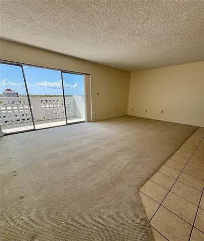 2401 Bayshore Boulevard Tampa FL 33629