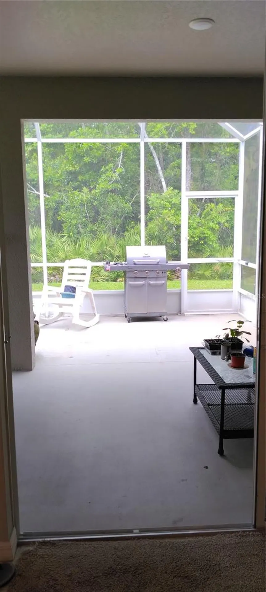 45 Zonal Geranium Trail Palm Coast FL 32164