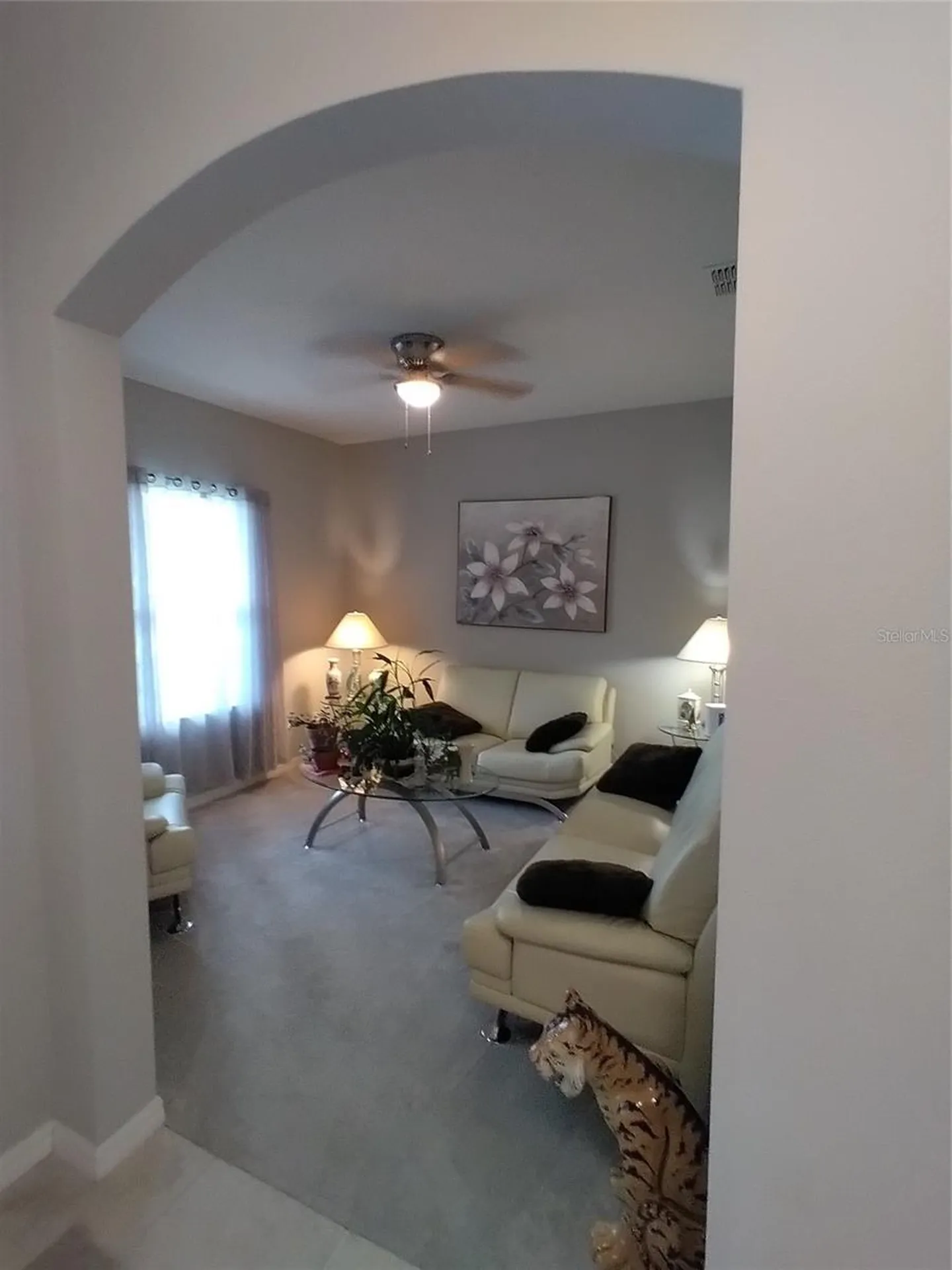 45 Zonal Geranium Trail Palm Coast FL 32164