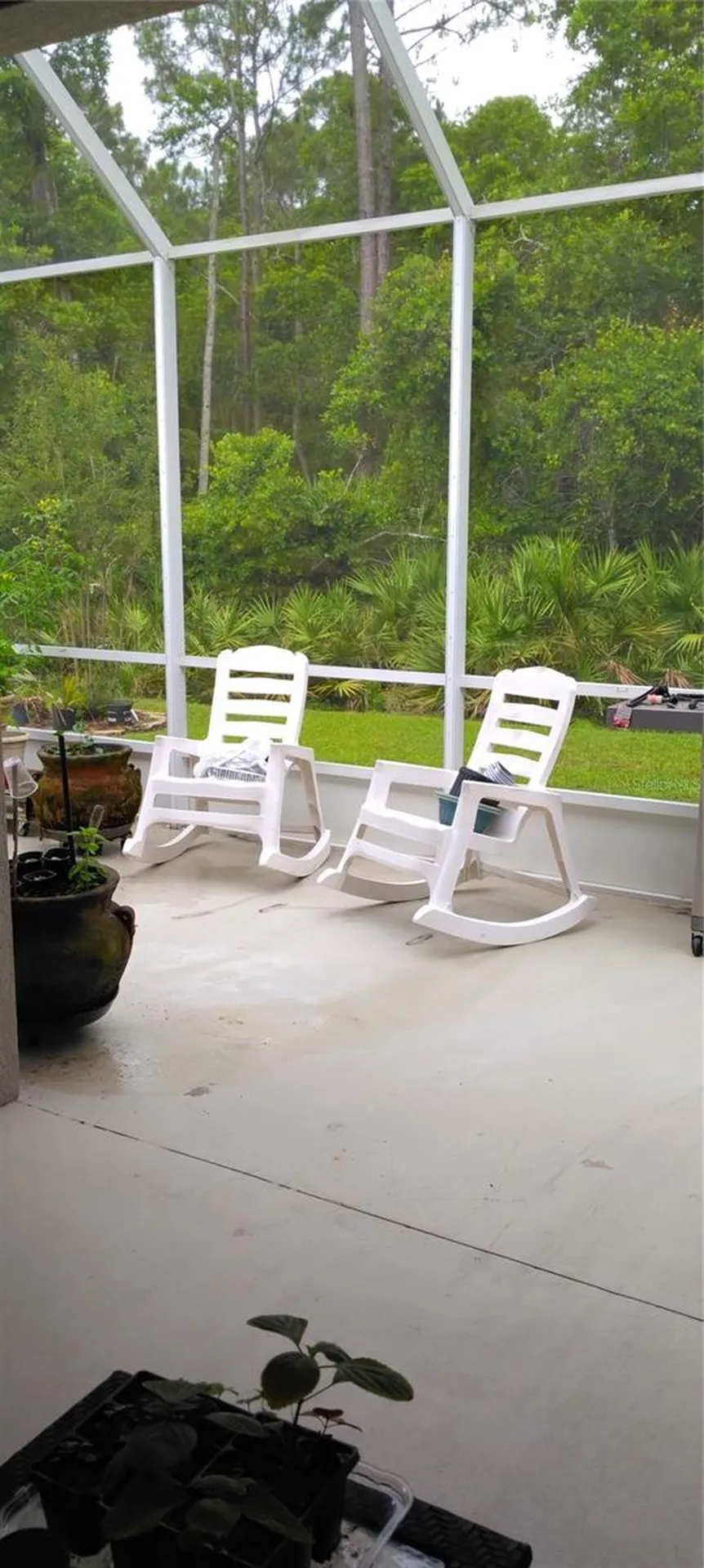 45 Zonal Geranium Trail Palm Coast FL 32164