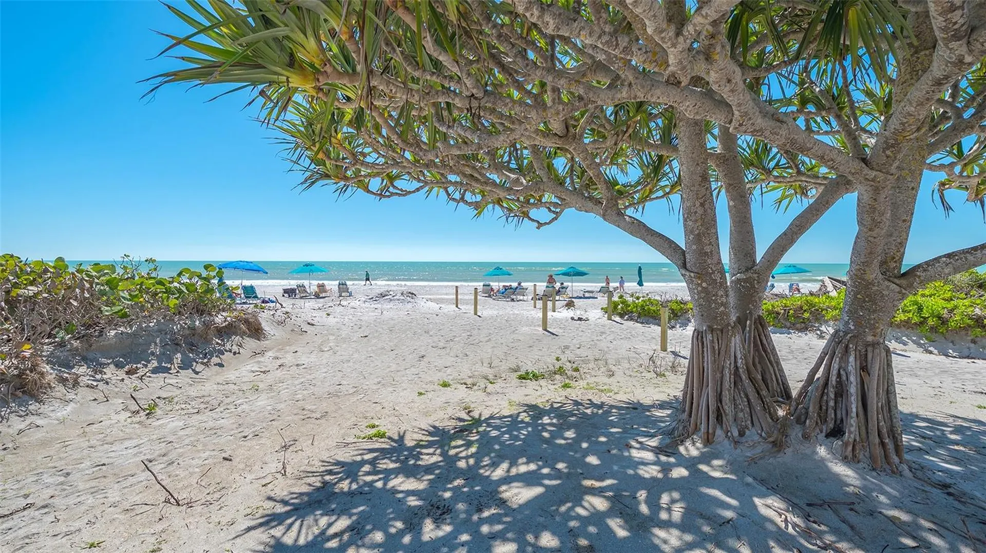 1965 Gulf Of Mexico Drive Longboat Key FL 34228