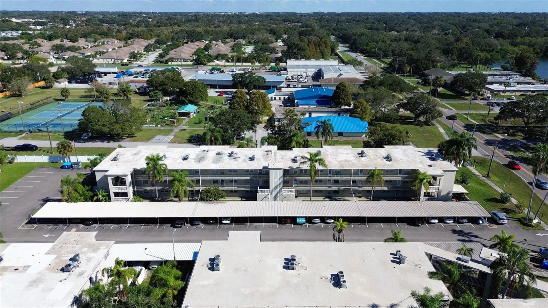 970 Virginia Street Dunedin FL 34698