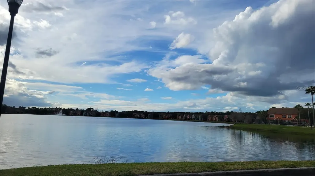 10562 Windsor Lake Court Tampa FL 33626