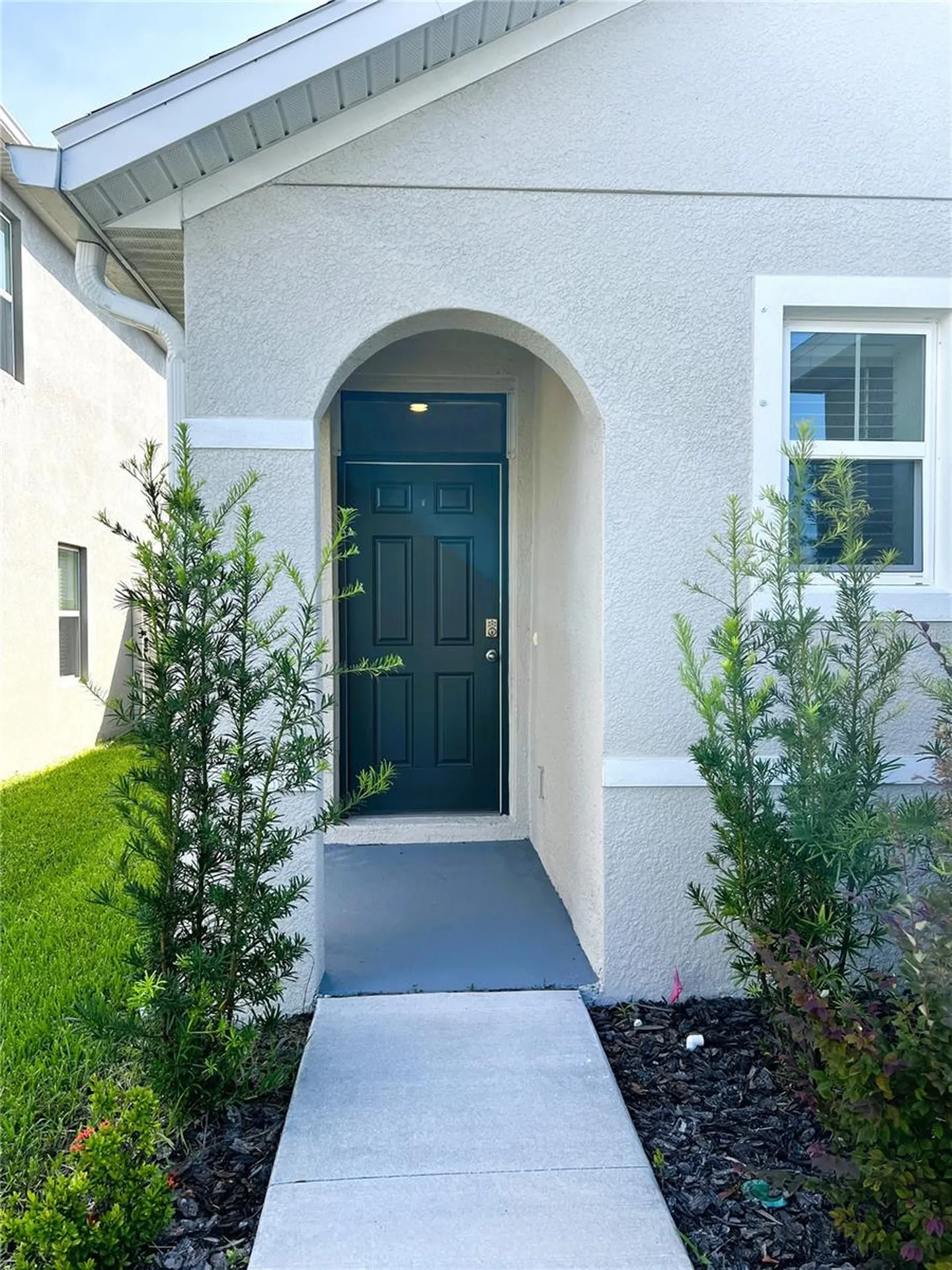 16034 Soft Fern Trace Odessa FL 33556