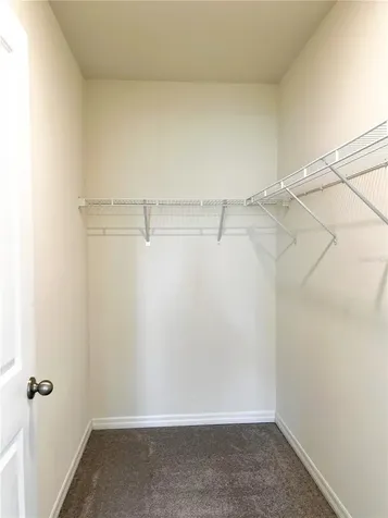 16034 Soft Fern Trace Odessa FL 33556