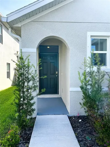 16034 Soft Fern Trace Odessa FL 33556