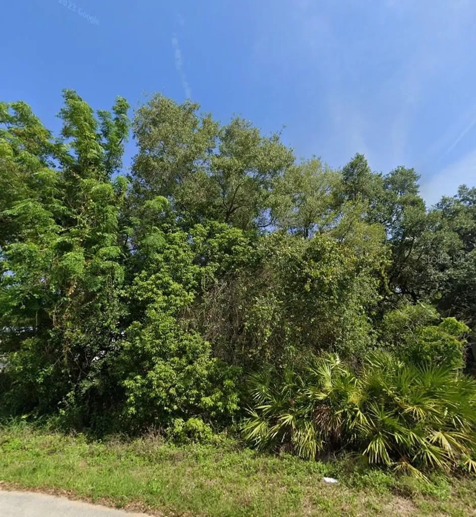 2521 Catfish Court Lake Wales FL 33898