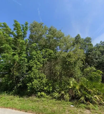 2521 Catfish Court Lake Wales FL 33898
