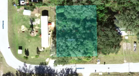 2521 Catfish Court Lake Wales FL 33898