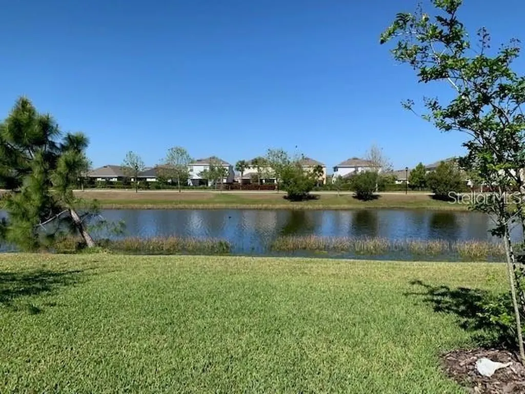 6234 Colmar Place Apollo Beach FL 33572