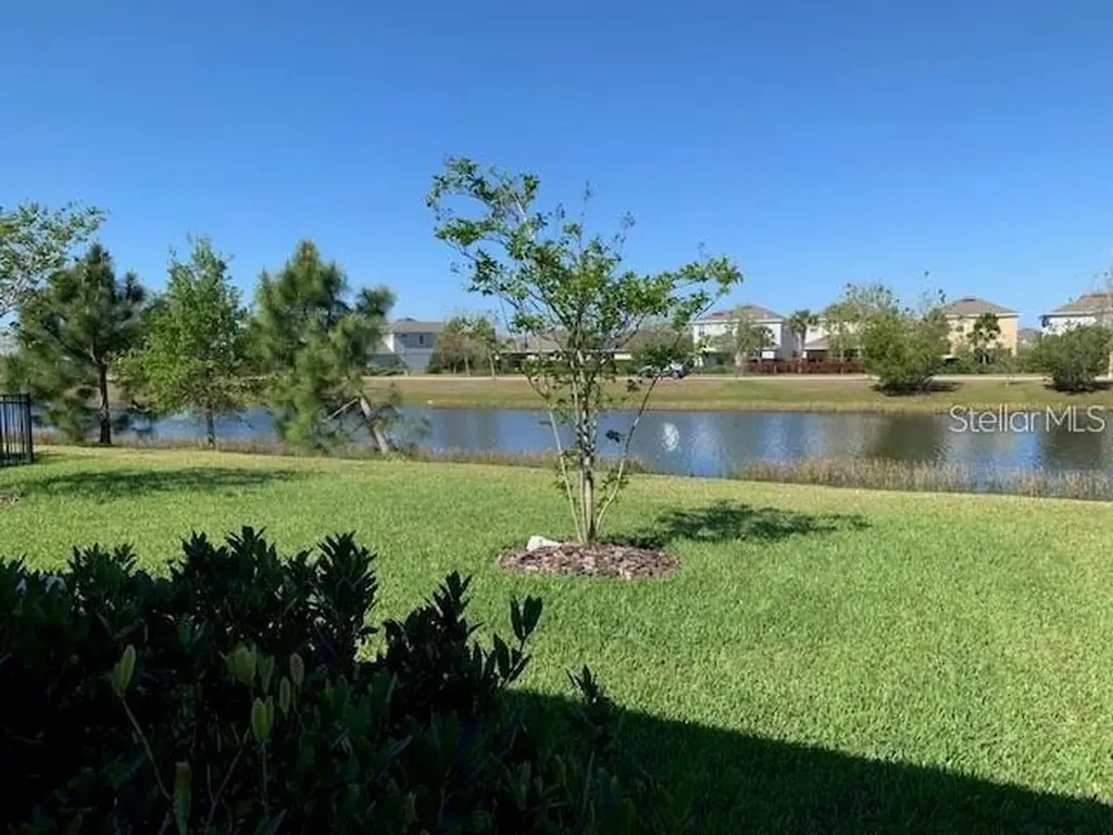 6234 Colmar Place Apollo Beach FL 33572