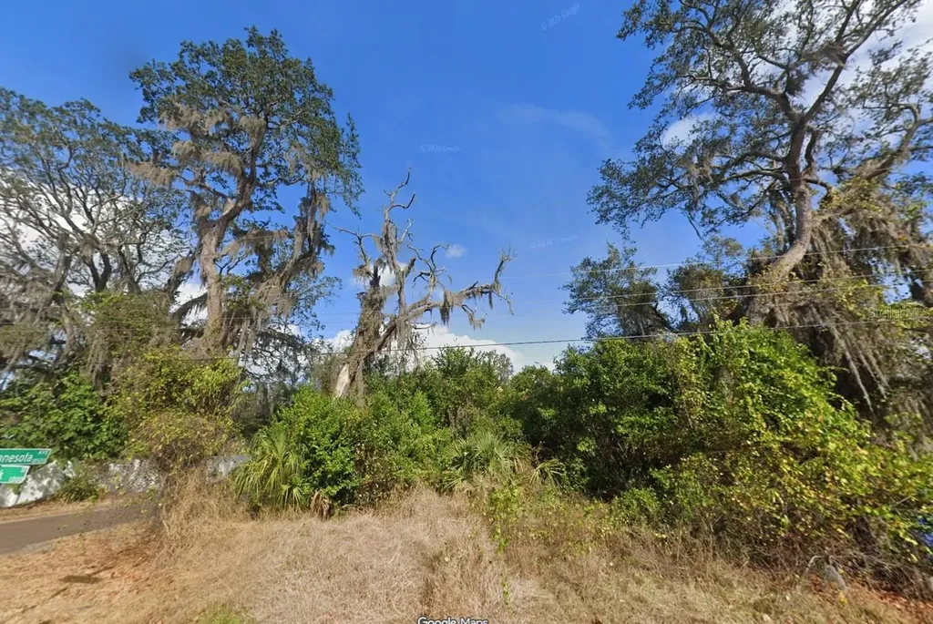 00 Oak Odessa FL 33556