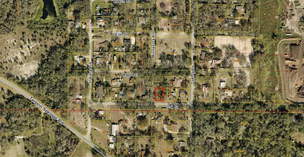 00 Oak Odessa FL 33556