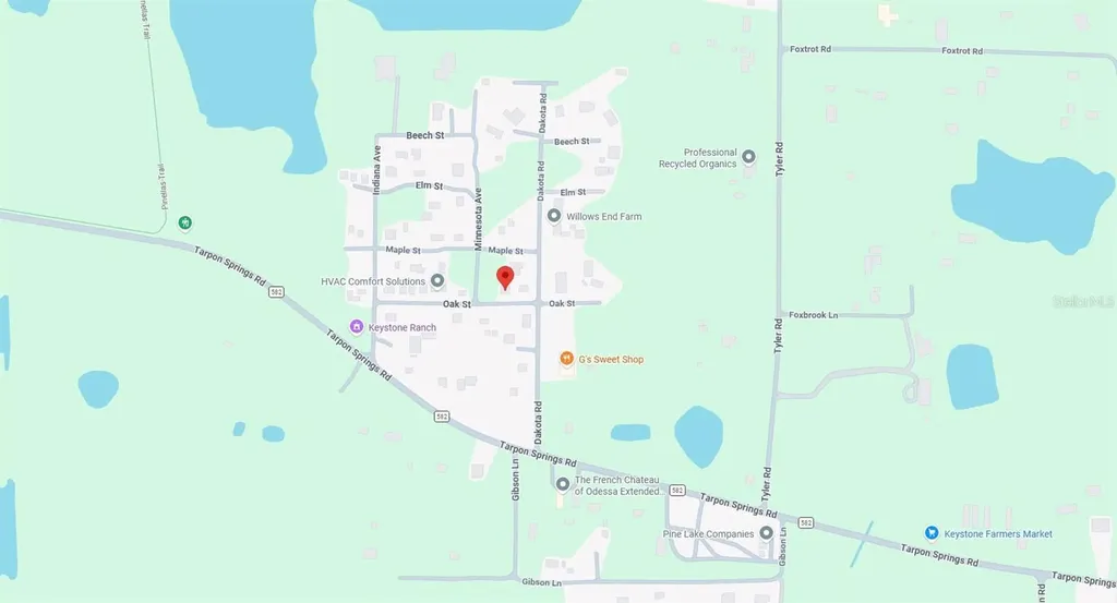 00 Oak Odessa FL 33556