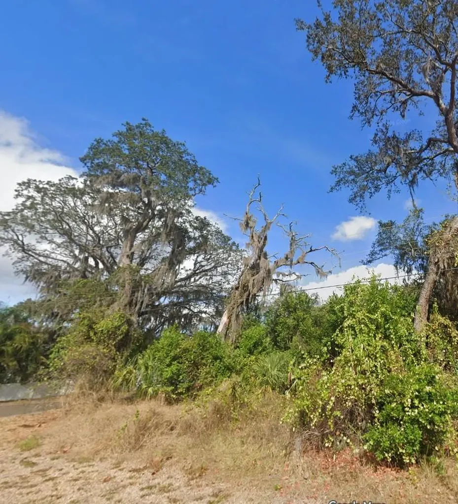 00 Oak Odessa FL 33556