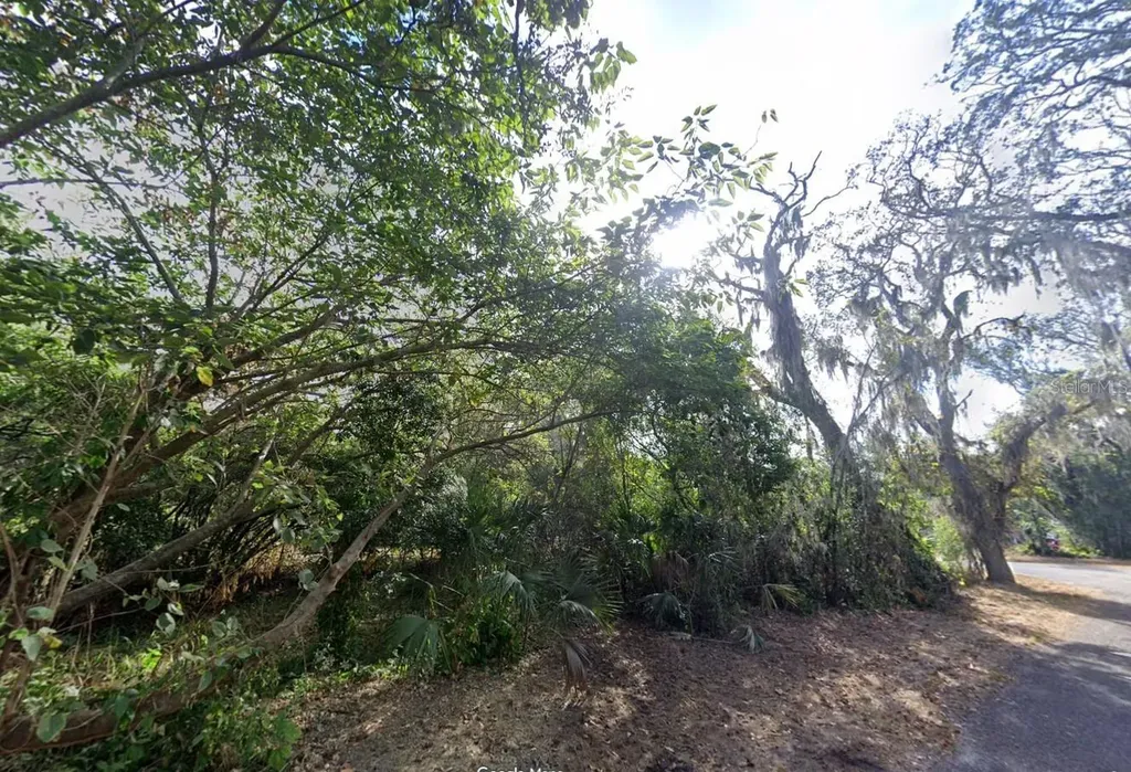 00 Oak Odessa FL 33556