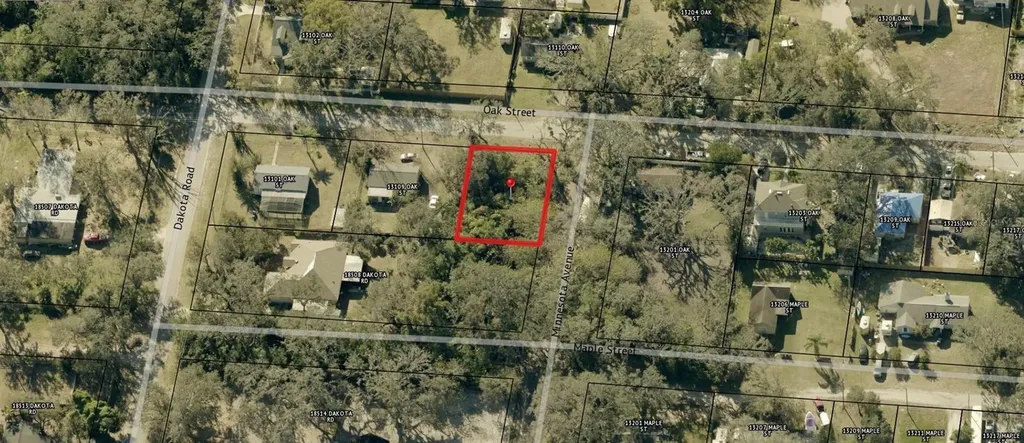 00 Oak Odessa FL 33556