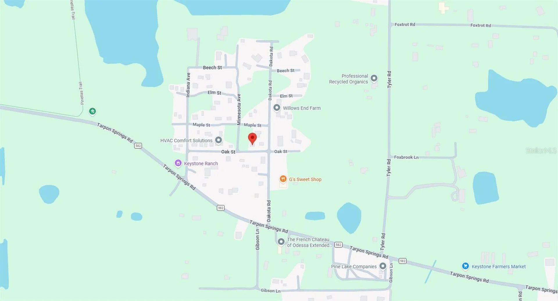 00 Oak Odessa FL 33556