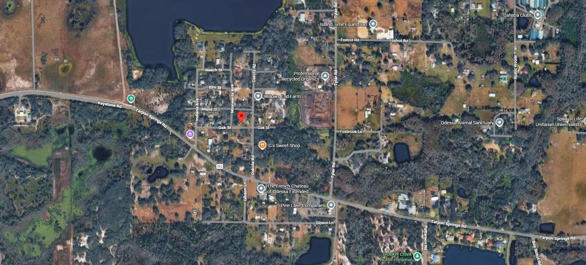 00 Oak Odessa FL 33556