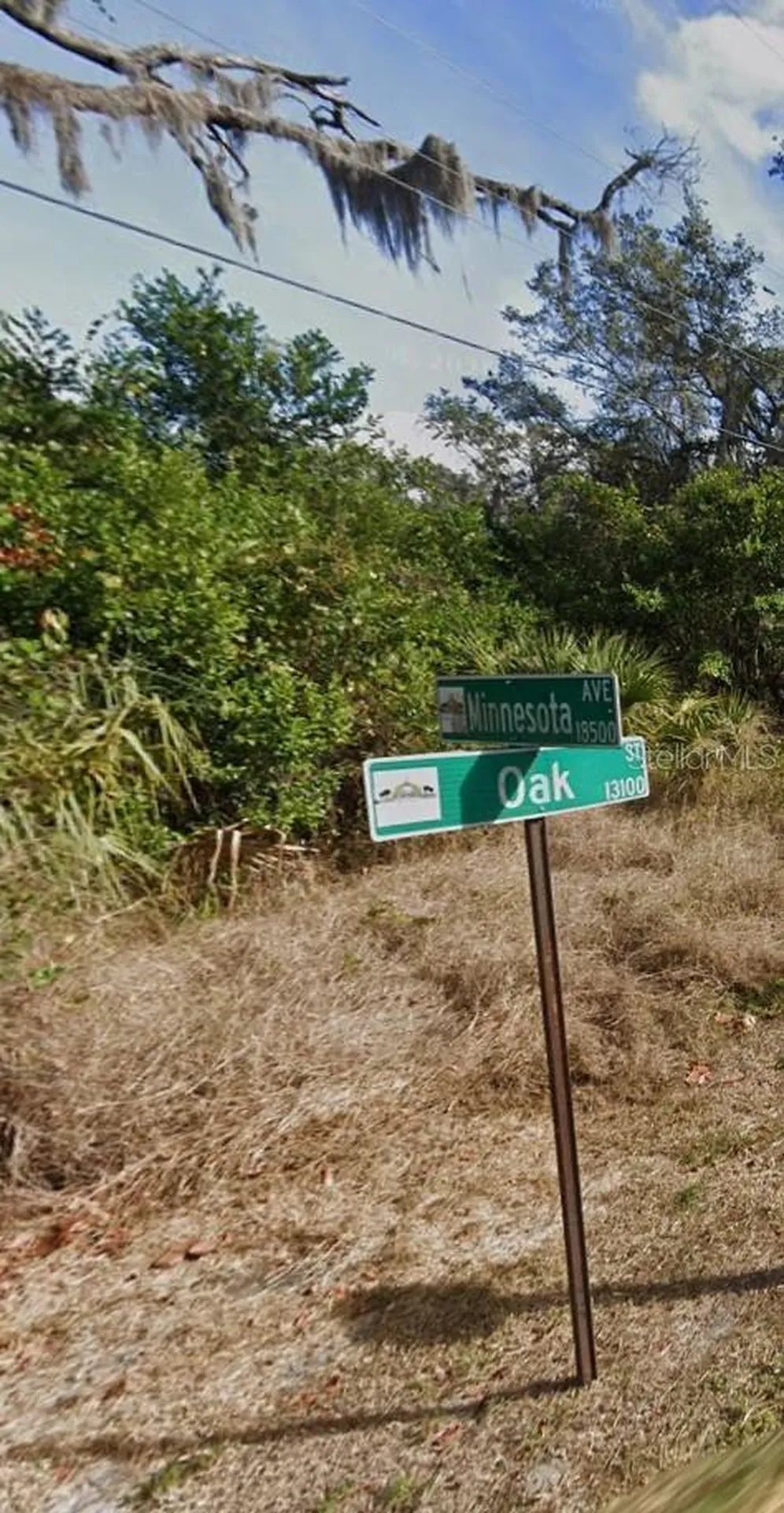 00 Oak Odessa FL 33556