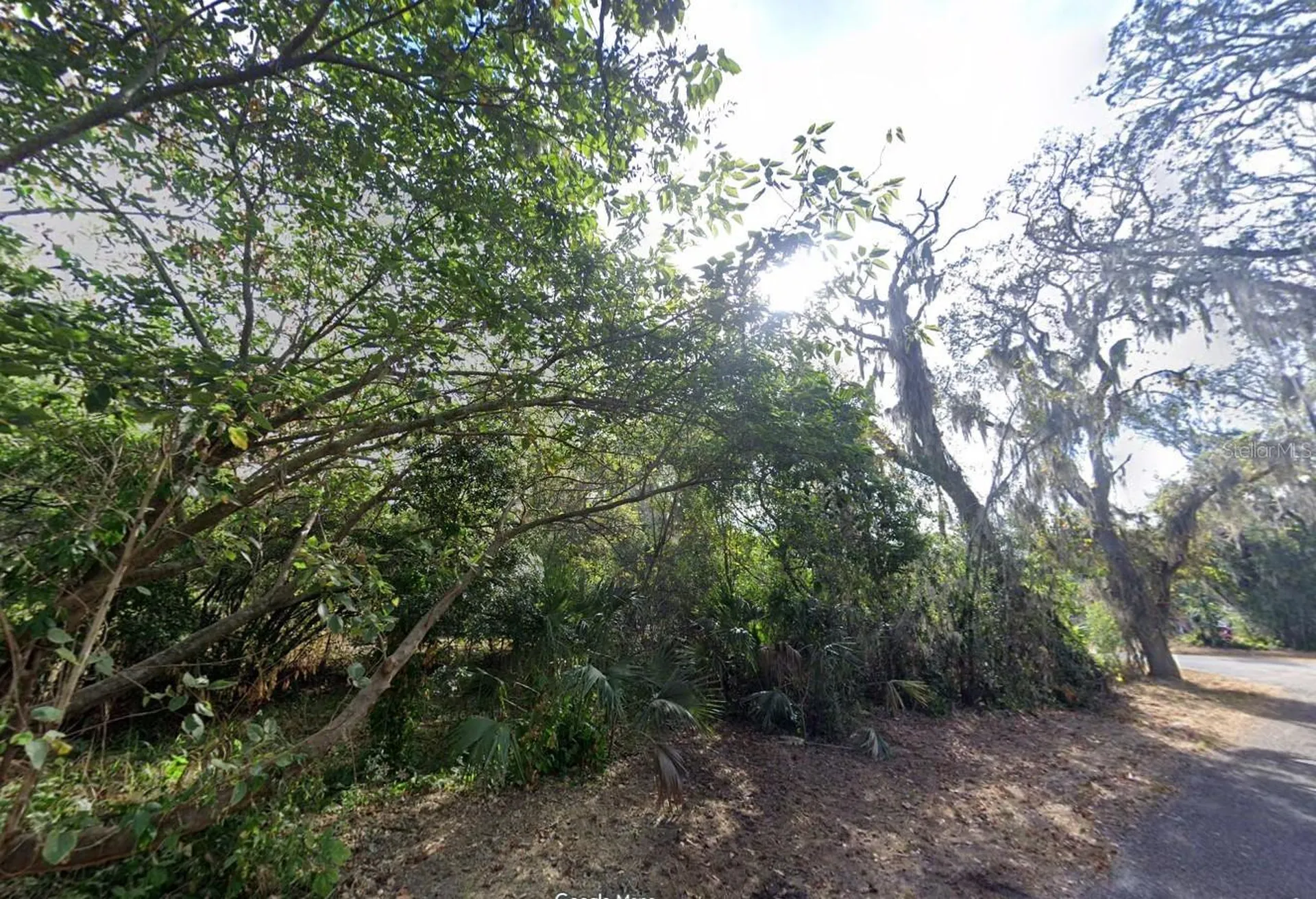 00 Oak Odessa FL 33556