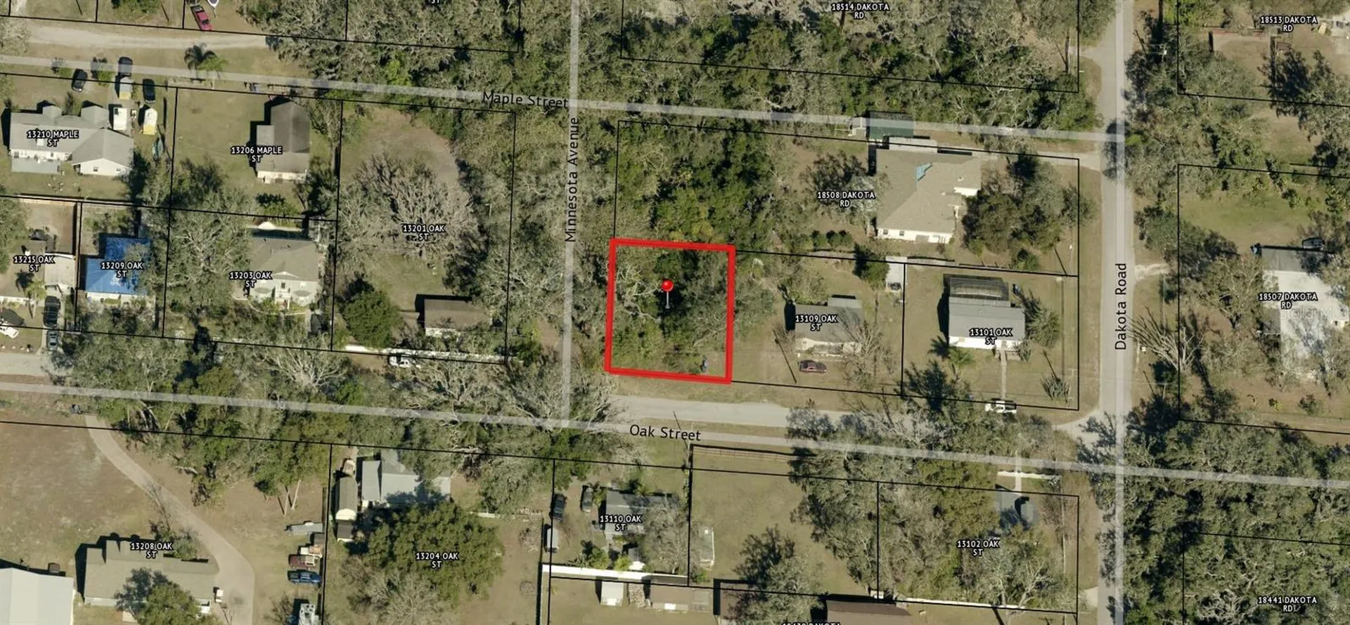 00 Oak Odessa FL 33556