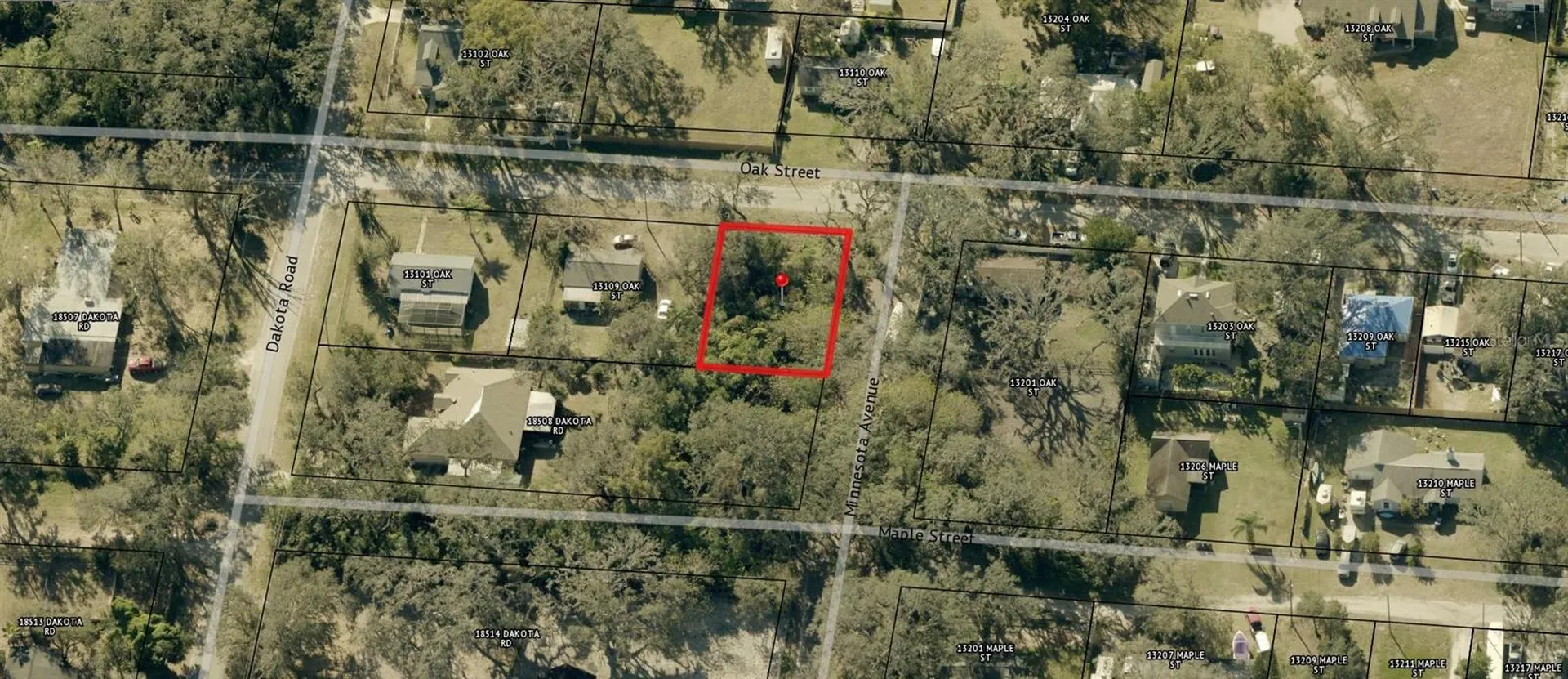 00 Oak Odessa FL 33556
