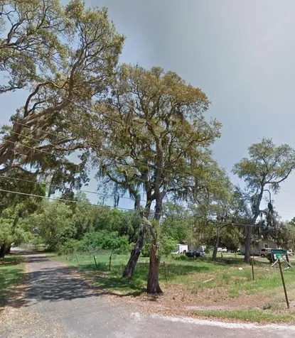 00 Oak Odessa FL 33556