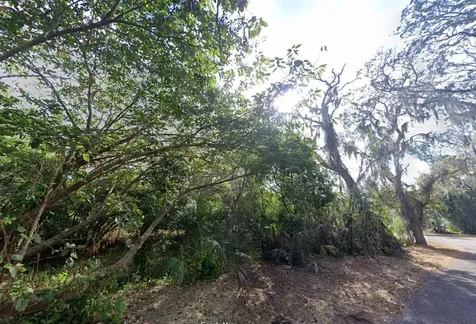 00 Oak Odessa FL 33556