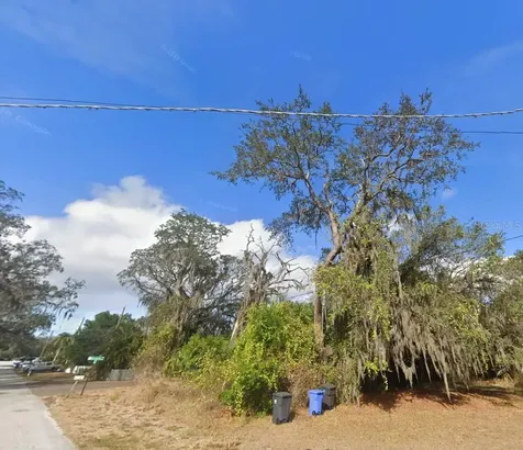 00 Oak Odessa FL 33556