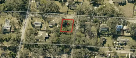 00 Oak Odessa FL 33556