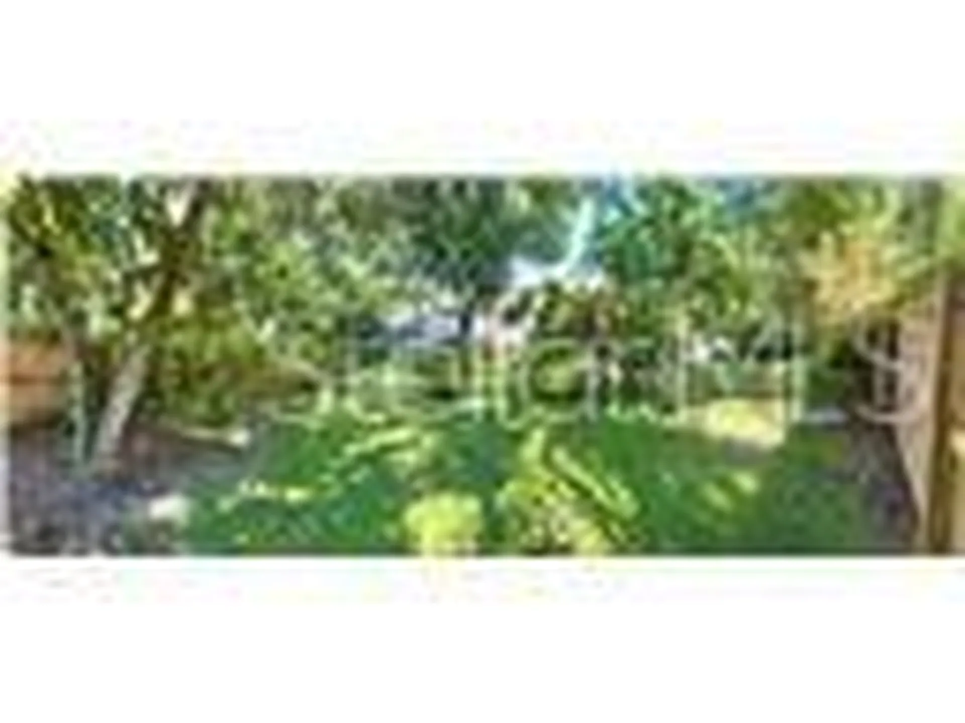611 N Garfield Avenue Deland FL 32724